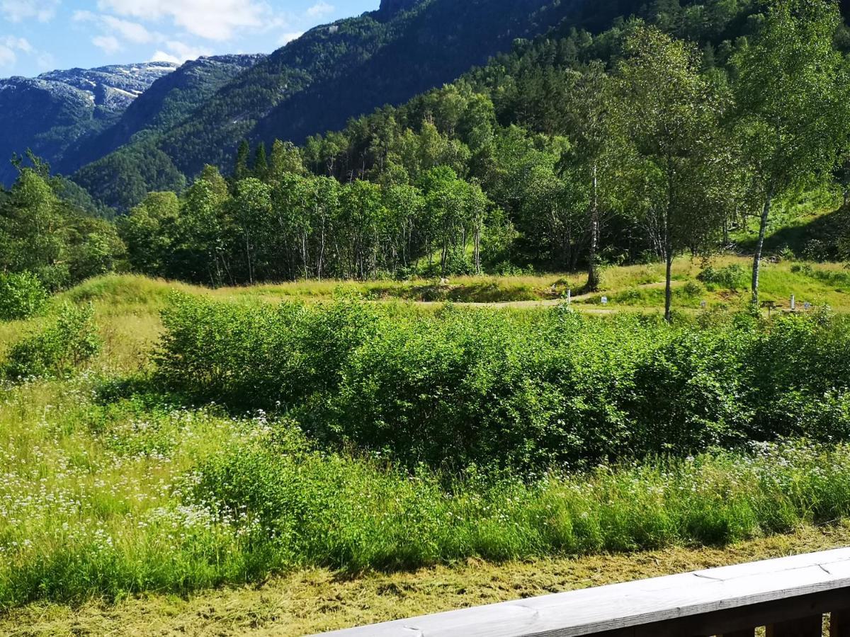 Kinsarvik Hostel Exteriér fotografie