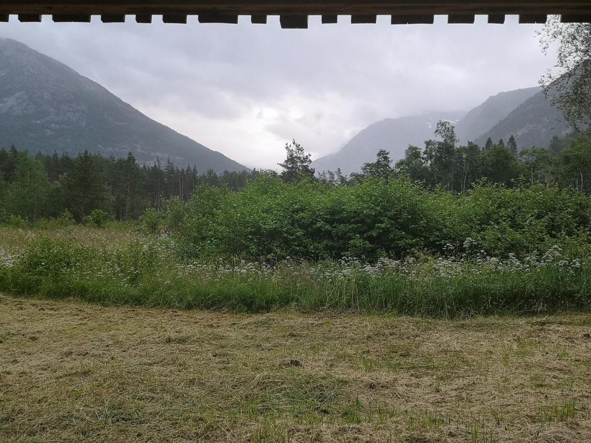 Kinsarvik Hostel Exteriér fotografie