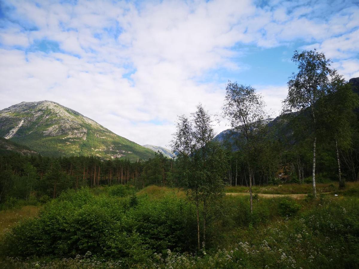 Kinsarvik Hostel Exteriér fotografie