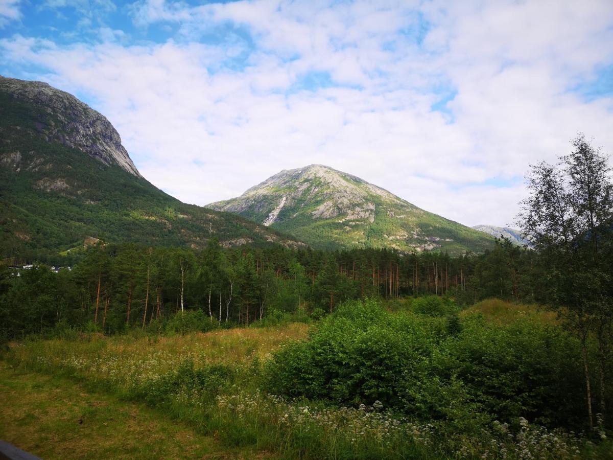 Kinsarvik Hostel Exteriér fotografie